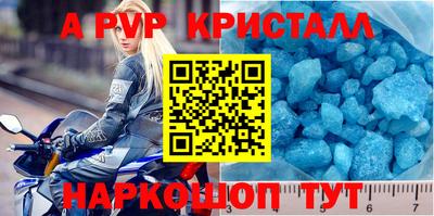 ешки Кингисепп