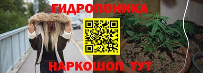 jwh Кинель