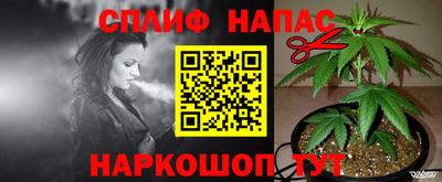 ешки Кингисепп
