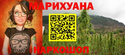 ешки Кингисепп