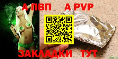 ешки Кингисепп