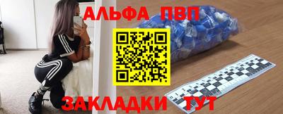 ешки Кингисепп
