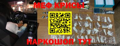 ешки Кингисепп