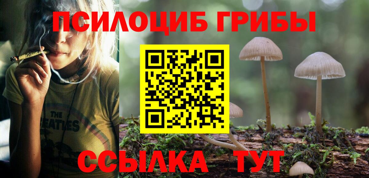 Псилоцибиновые грибы Psilocybe  где купить наркоту  Кувандык  Вход с VPN 